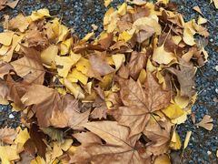 -河南省黄河迎宾馆