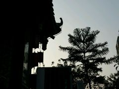 -李雪火锅食府(宽窄巷子总店)