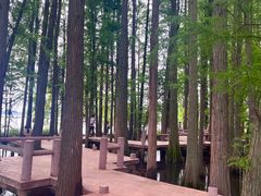 -东湖落雁景区