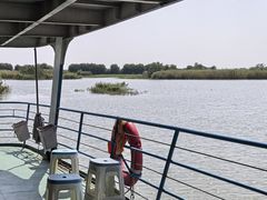 -洪湖生态旅游区