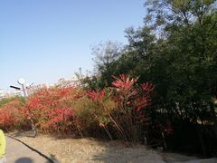 -南翠屏公园