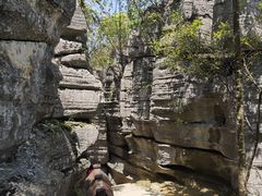 -梭布垭石林景区