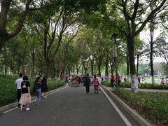 -东莞植物园