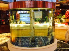 -台北A+A七喜饭店(德增街店)