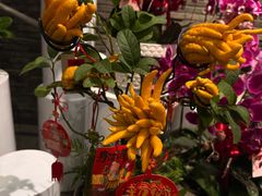 -豆豆花艺(新光天地店)