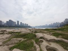 -菜园坝水果市场