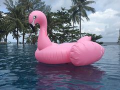 -普吉岛凯悦酒店