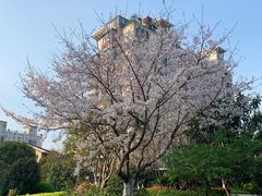 -九里河湿地公园