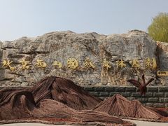 -北京西山国家森林公园