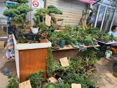 -万商花鸟市场