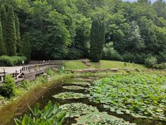 -棒棰岛宾馆景区