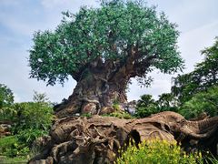 -奥兰多迪士尼动物王国乐园