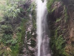 -莫里热带雨林景区