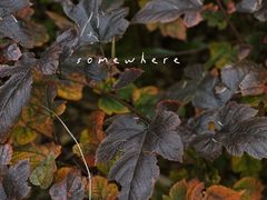 -崂山巨峰游览区