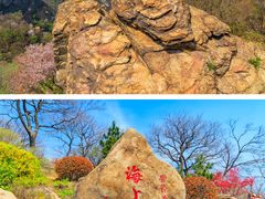 -海上云台山景区