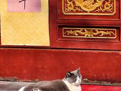 -长春观