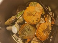 -土蚝·高压锅生蚝(百姓美食街店)