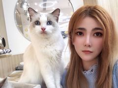 -瞄一喵猫咖(格力海岸店)
