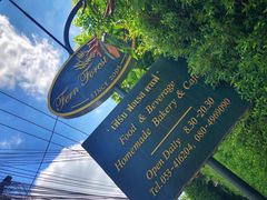 -Fern Forest Cafe