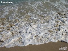 -西涌国际滨海旅游区