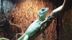 -酷嗒动物文化乐园(cutezoo西溪乐天城店)