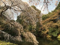 -京都御所