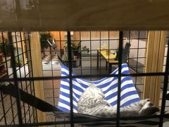 -文和友老长沙龙虾馆(化龙池店)