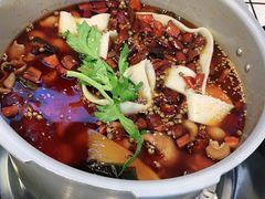 -晓彭肥肠鸡·泡椒鸡火锅(水木天地店)
