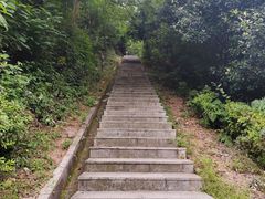 -桃花岭景区