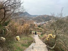 -温岭石塘海边