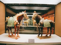 -西安大唐西市博物馆