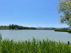 -野鸭湖国家湿地公园