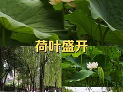 -四川大学(望江校区)