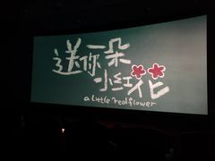 -飞扬影城(正佳IMAX店)