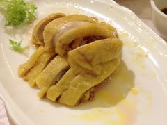 白切鸡-品悦酒店(三林古镇店)
