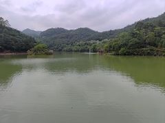 -香港鸳鸯王(西湖路店)