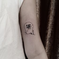 -明星刺青·洗纹身