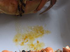 -乡乐园蟹庄·阳澄湖农家乐