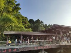 -金盆阿嬷香菇茶叶蛋(玄光店)