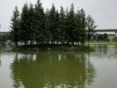 -秀丽东方