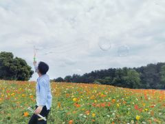 -保利石象湖景区