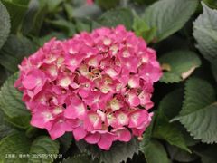 -常州古运河南大街文化旅游区-人民公园