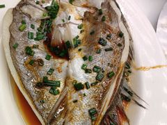 -日日香卤鹅饭店·澄海狮头鹅(澄海店)