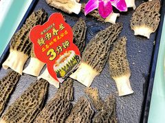鲜羊肚菌-尚竹阁冬瓜盅·18年地标美食(平洲店)