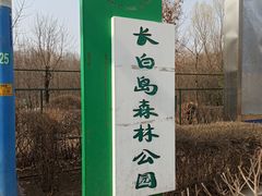 -长白岛森林公园