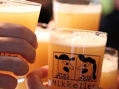 美人鱼IPA-ZING鲸鱼啤酒(葡萄院店)