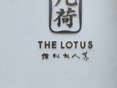 -几荷·恰似故人来(秀水广场店)