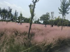 -嘉北郊野公园