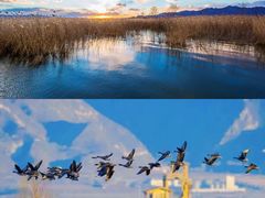 -野鸭湖国家湿地公园