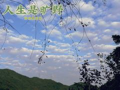 -阳台山森林公园